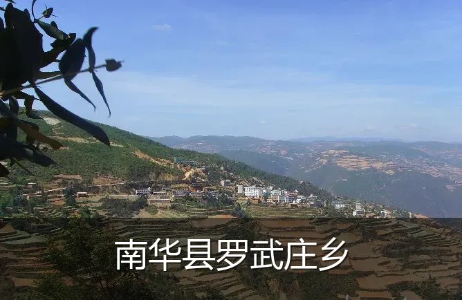 南华县罗武庄乡